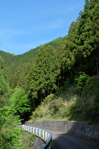 b0281732_11161673.jpg