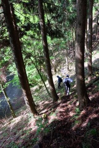 b0281732_11162685.jpg