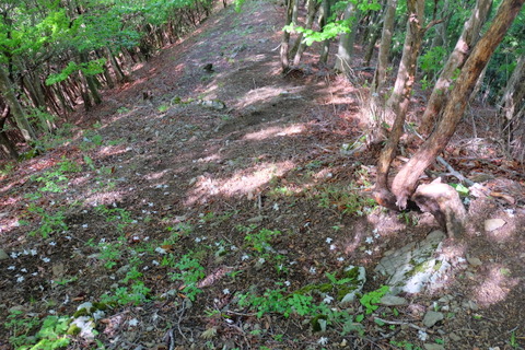 b0281732_11171611.jpg