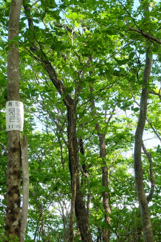 b0281732_11173877.jpg