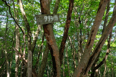 b0281732_1117830.jpg