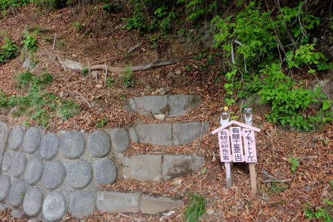 b0281732_11183762.jpg