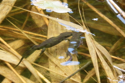 f0118332_00141506.jpg