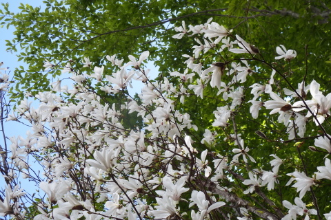 f0118332_00153441.jpg