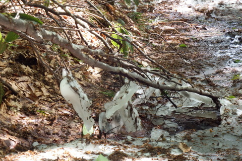 f0118332_00174899.jpg