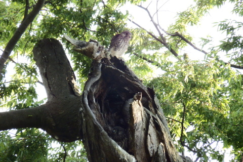 f0118332_00182557.jpg