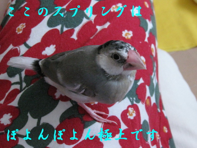 c0365734_21151328.jpg