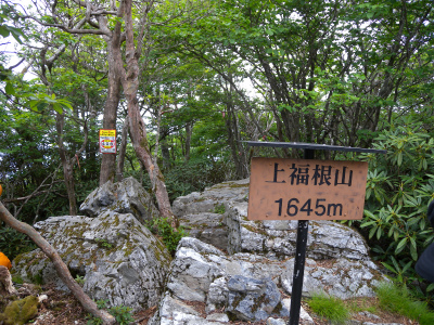e0272335_1550873.jpg