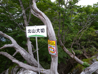 e0272335_16352667.jpg