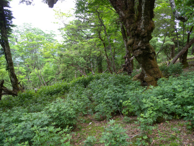 e0272335_16463812.jpg