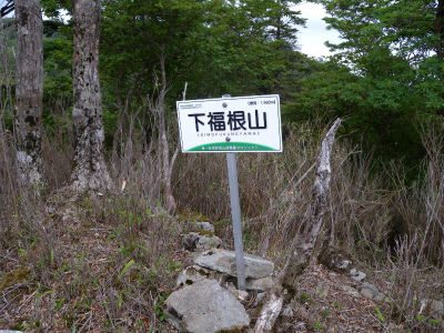 e0272335_1651119.jpg