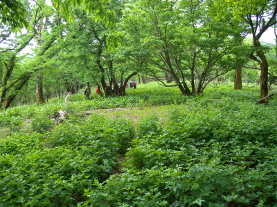 e0272335_17455994.jpg