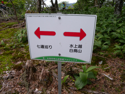 e0272335_18153414.jpg