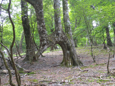 e0272335_1831716.jpg