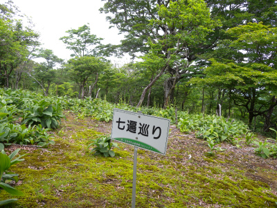 e0272335_18639100.jpg