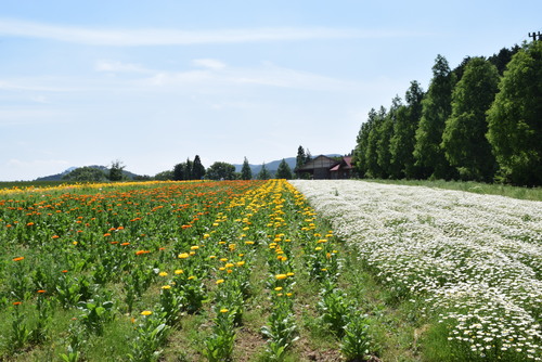 a0291938_031523.jpg