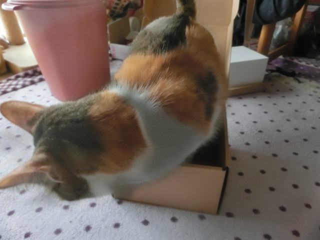 c0194042_10473846.jpg