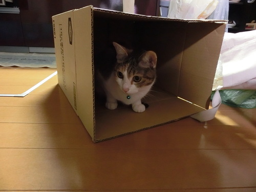 c0194042_10531791.jpg