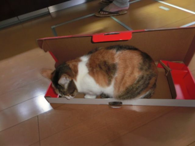 c0194042_10535571.jpg