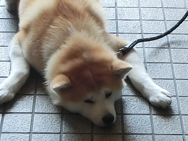 a0237349_13124267.jpg