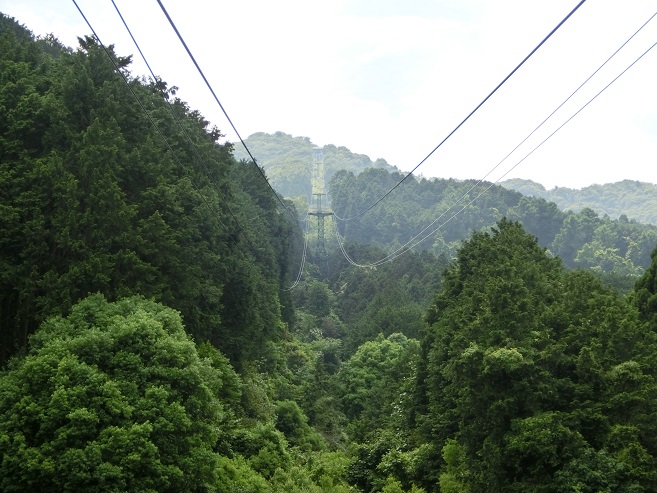 a0237349_13161031.jpg