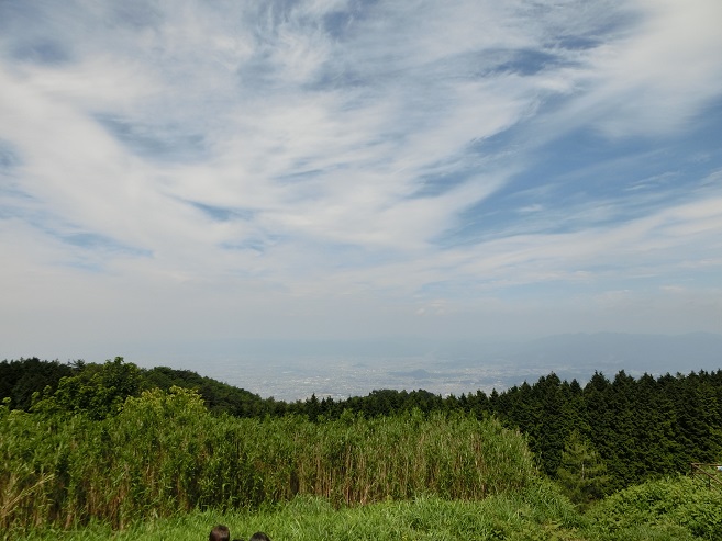 a0237349_1335238.jpg
