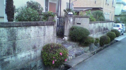 d0175151_0114529.jpg