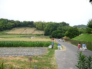 c0141652_156171.jpg