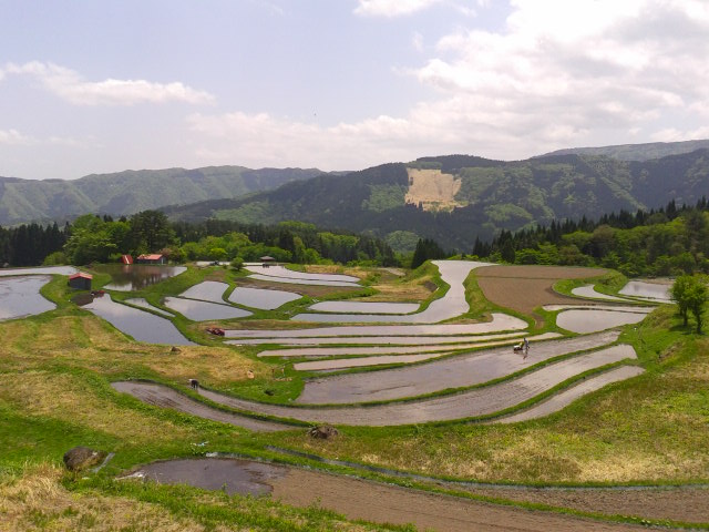 c0214359_21502460.jpg