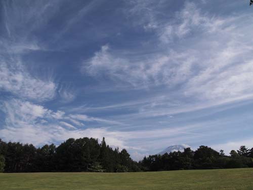 c0011862_11331358.jpg