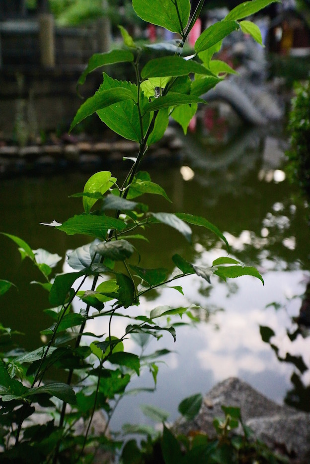 f0134963_00515490.jpg