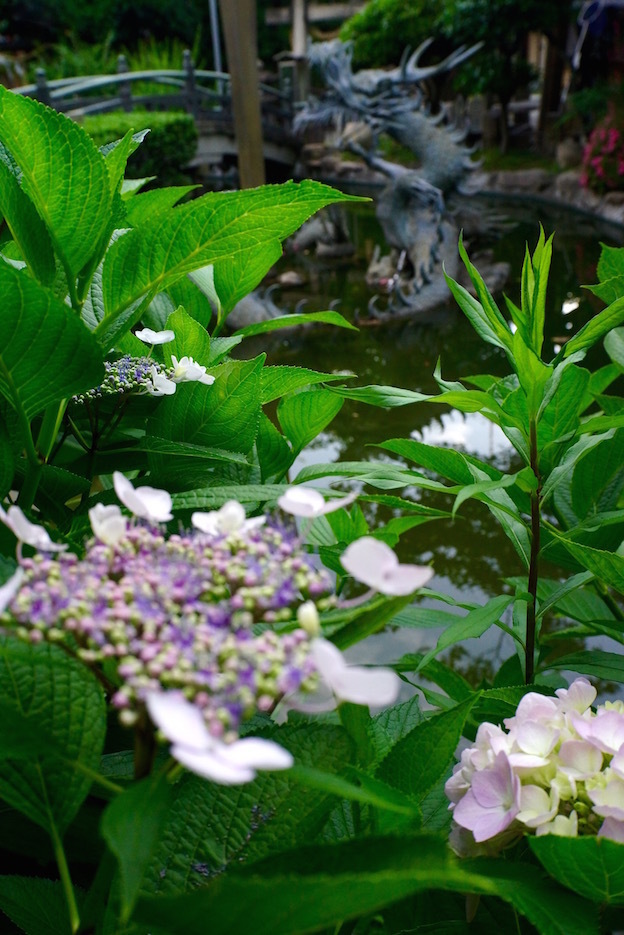 f0134963_01115672.jpg
