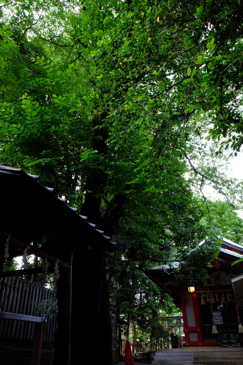 c0084666_18141681.jpg