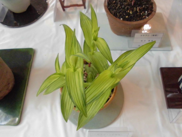 f0318967_22032469.jpg