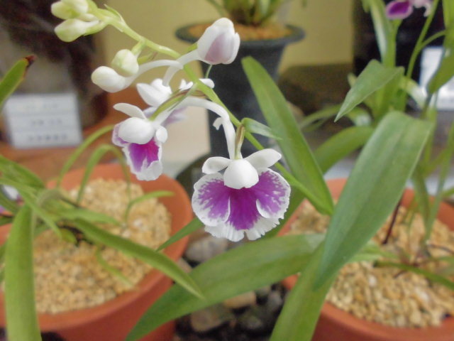 f0318967_22040372.jpg