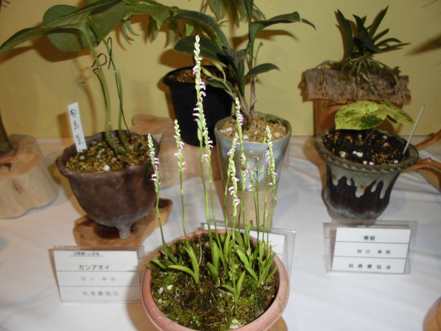 f0318967_22050392.jpg
