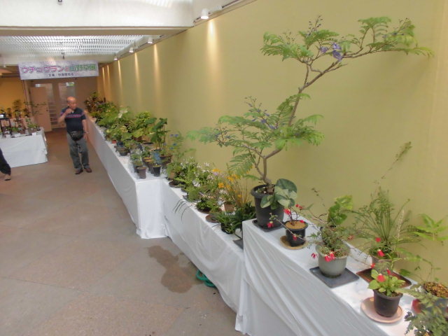 f0318967_22111180.jpg