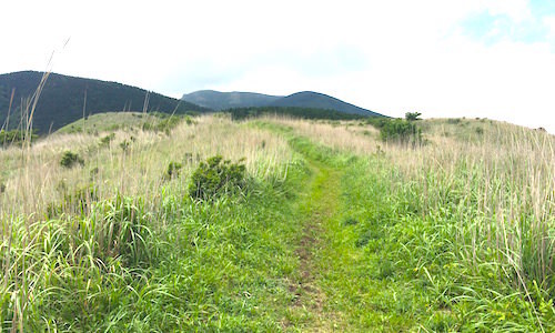 b0050172_22580244.jpg