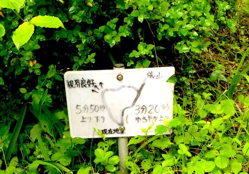b0050172_22593385.jpg