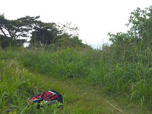 b0050172_23001163.jpg
