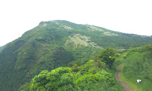 b0050172_23004590.jpg