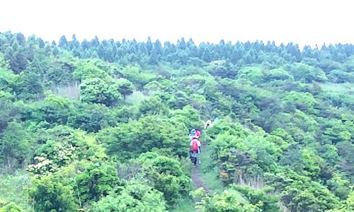 b0050172_23020125.jpg