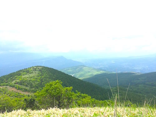 b0050172_23035267.jpg