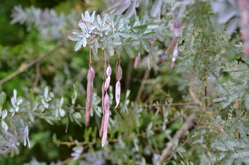 c0216472_149171.jpg
