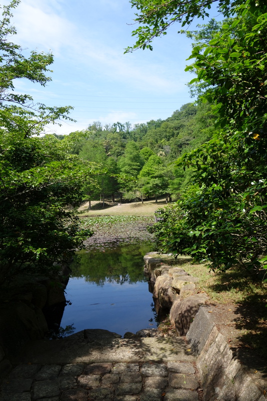 c0216472_7313982.jpg