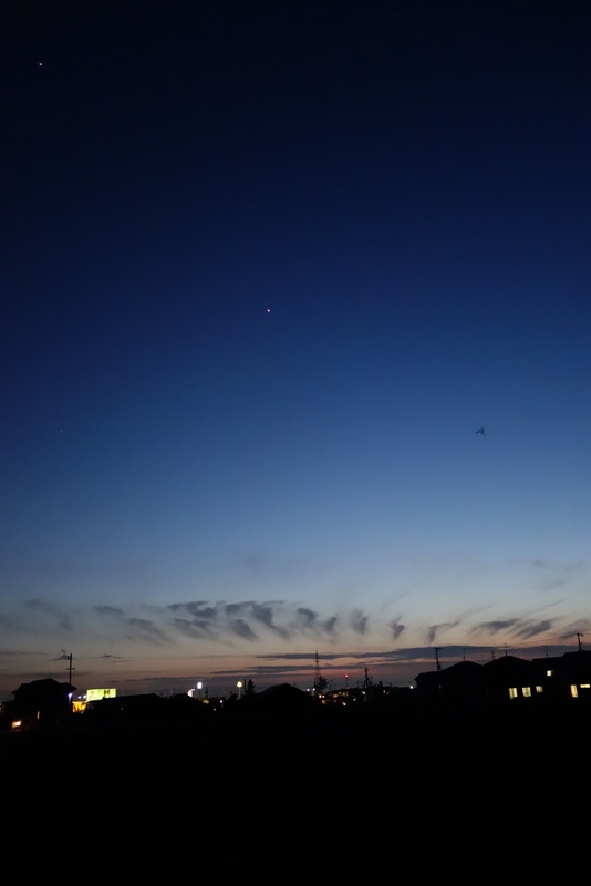 c0216472_7381837.jpg