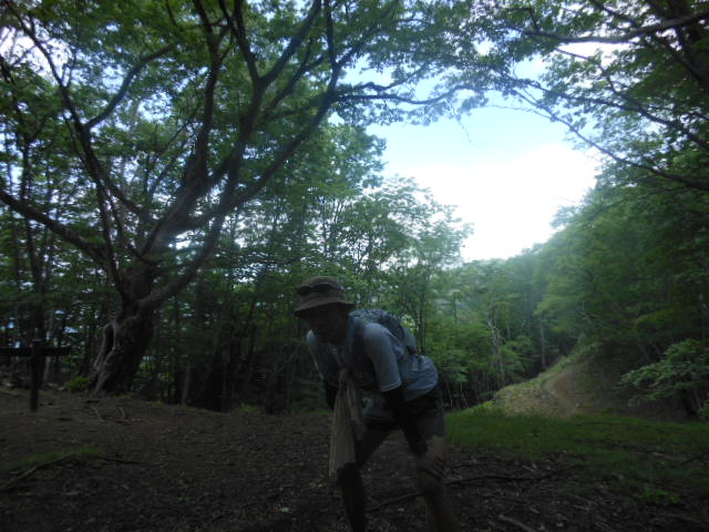 c0206177_18333813.jpg