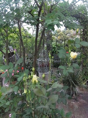 e0185787_21133732.jpg