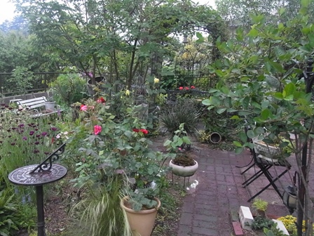 e0185787_21153126.jpg