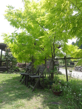 f0209394_16102216.jpg